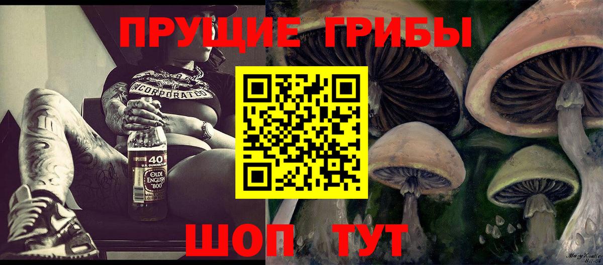 Псилоцибиновые грибы GOLDEN TEACHER Армавир